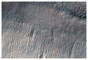 Possible Hydrated Materials on Crater Wall