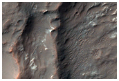 Possible Clays and Chlorides Near Columbus Crater
