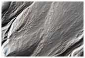 Gullied Crater Wall