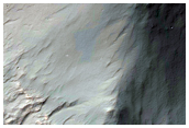 Bright Layers in Columbus Crater