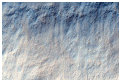 Possible Noachian Olivine at the Edge of Isidis Planitia