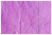 Small Shield Volcano in Ceraunius Fossae Region