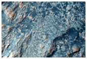 Nicholson Crater