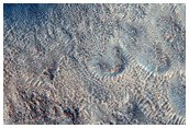 Gullied Crater Wall
