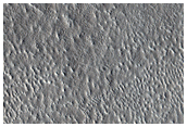 Impact Monitoring in Arcadia Planitia