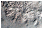 Gullied Crater in Terra Cimmeria