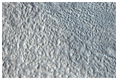 Protonilus Mensae Fretted Terrain in the Northern Plains Transition Area