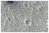 Candidate Fresh Impact Site Formed Between January 2005 and August 2009