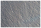 Crater in Arcadia Planitia