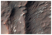 Possible Clays and Chlorides near Columbus Crater