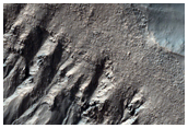 Gullied Crater Wall