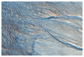 Gullied Slope of 20-Kilometer Diameter Impact Crater in Acidalia Planitia