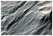 Gullied Crater Wall