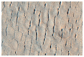 Small Fresh Bright Crater in Utopia Planitia