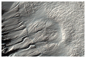 Gullied Crater Wall