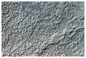 Gullied Crater Wall