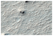 Patch of High Thermal-Inertia Ground