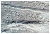 Gullied Crater Wall