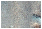 Northern Plains Sample