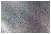 Possible Northern Araneiform Terrain