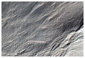 Young Gullies Superposing Dissected Mound