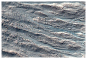 Gullied Crater Wall on Sun-Facing Slope