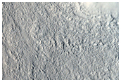 Nilosyrtis Mensae Fretted Terrain in the Northern Plains Transition Area