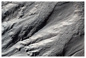 Gullied Crater Wall