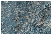 Candidate Landing Site in a Possible Salt Playa