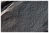 Gullied Crater Wall