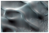 USGS Dune Database Entry Number 0420-423