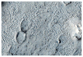 Cone Field in Phlegra Dorsa