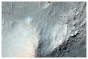 Central Uplift of a Large Crater