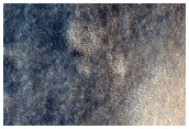 Contacts and Constructs in Utopia Planitia