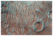 USGS Dune Database Entry Number 3124-080
