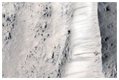 Well-Preserved Large Crater Near Tempe Terra