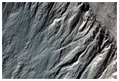 Gullied Crater Wall