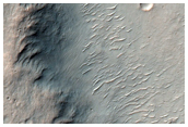 Wrinkle Ridges in Hesperia Planum