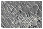 Converging Lobate Flow Fronts in Isidis Planitia