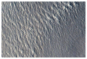 Knobs in Arcadia Planitia