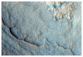 Unnamed Crater in Polygonal Terrain in Western Utopia Planitia
