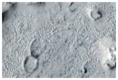 Cone Field in Phlegra Dorsa