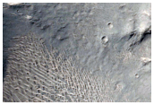 Large Central Uplift of an Impact Crater