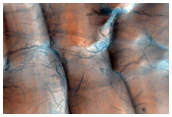 Dune Field in Hellas Planitia