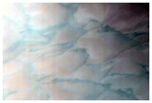 Dune Erosion and Streaks
