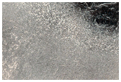 Polar Crater with Summer Ice Change Detection