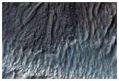 Gullies in Crater in Hellas Planitia