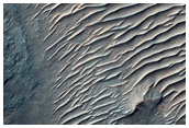 Possible Phyllosilicates in Her Desher Vallis