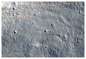Gullies in Tempe Terra