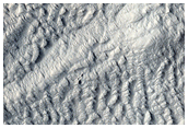 Olympus Mons Aureole